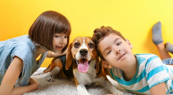 Childproofing Your Dog