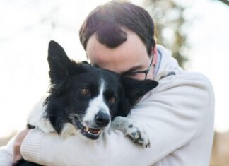Study Says Dogs Cry When Reunited With Owners