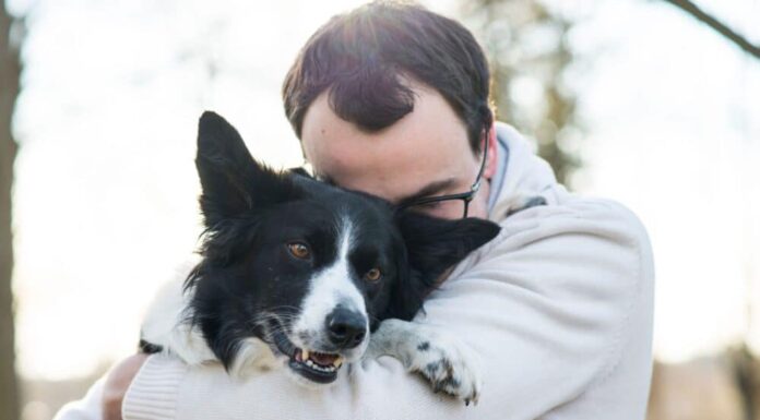 Study Says Dogs Cry When Reunited With Owners