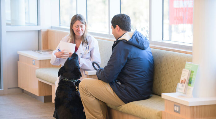 Understanding Your Diet: The Impact of What You Eat