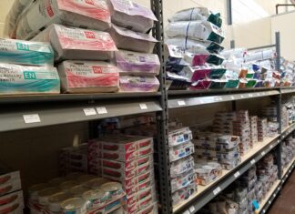 Unlocking the Benefits of Therapeutic Diets for Better Health