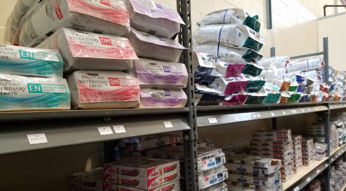 Unlocking the Benefits of Therapeutic Diets for Better Health