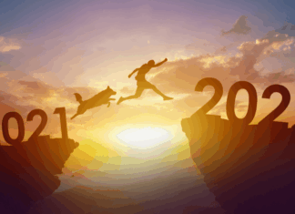 6 New Years Resolutions That Will Improve Your Dog’s Life, Too!