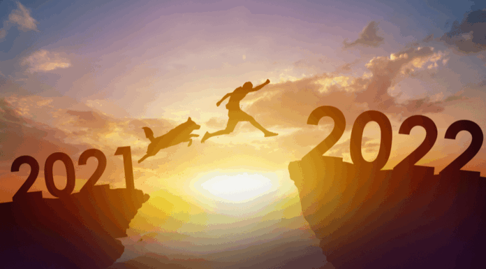 6 New Years Resolutions That Will Improve Your Dog’s Life, Too!