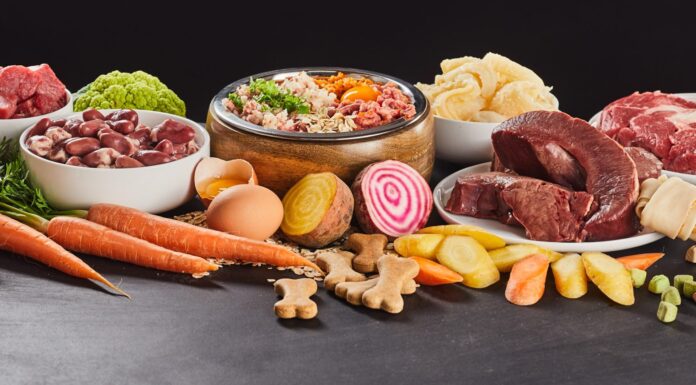 5 Diet Mistakes Nutritionists Want You to Stop Making