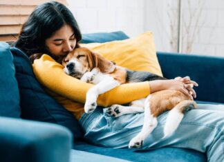 Scientists Discover Dog Owners Fit Into 3 Distinct Categories. Find Out Where You Belong!