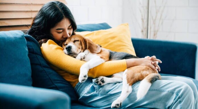 Scientists Discover Dog Owners Fit Into 3 Distinct Categories. Find Out Where You Belong!