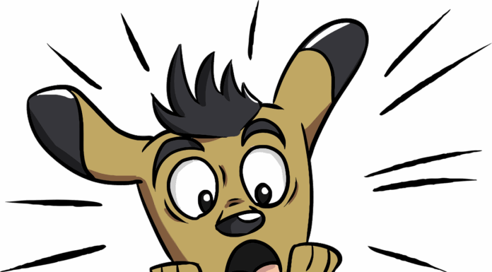 AAFCO Doesn’t Approve Pet Foods: What You Need to Know