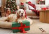 Paw-liday Finds: 10 Dog Christmas Gifts Under $10