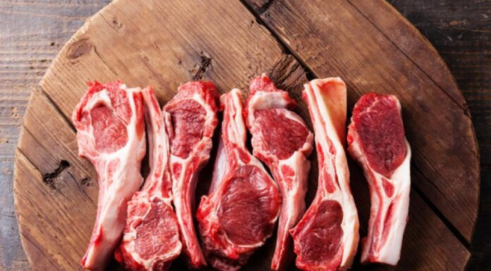 Essential Healthy Foods for Dogs: Benefits of Lamb