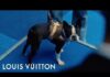 Louis Vuitton New Dog Collection Includes $60K Kennel, Dog Poo Bag Holder, Leather Dog Bowl, And Many More!