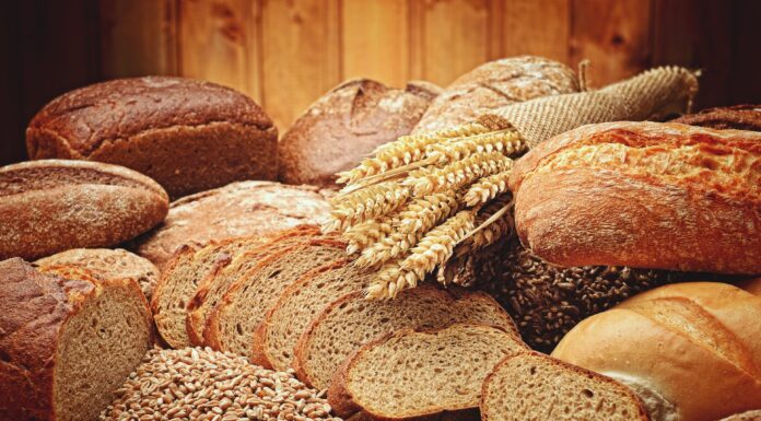 Understanding Carbohydrates in Pet Foods: Your Essential Guide