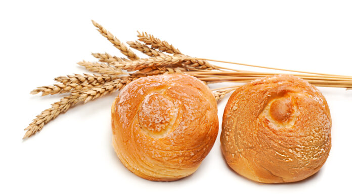 Unveiling Grain-Free Diets: Are They Worth the Hype? bread and grain
