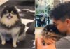 BTS’ V Mourns The Passing Of Beloved Dog Yeontan