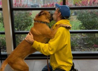 ‘Everything Changed’: After News Of Remission, Cancer Survivor Readopts Dog He Had To Surrender