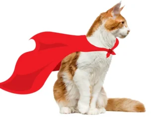 Uncover Your Cat’s Hidden Talent as a Super Mouser!