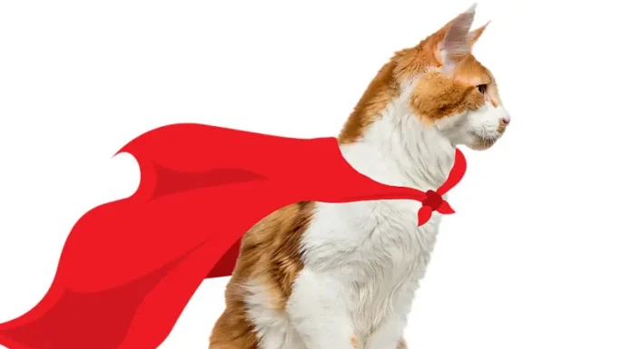 Uncover Your Cat’s Hidden Talent as a Super Mouser!