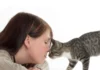 Essential Tips for Understanding Your Cat Better