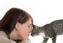 Essential Tips for Understanding Your Cat Better