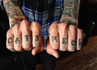 Purr-fect Times: Book Your Cat Charter Adventure Now!