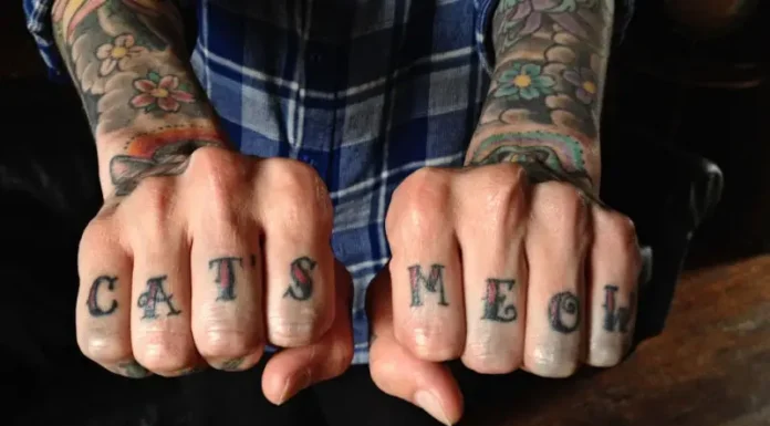 Purr-fect Times: Book Your Cat Charter Adventure Now!