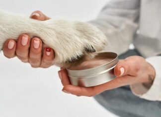 The 5 Best Dog Paw Balms For Your Furry Friend