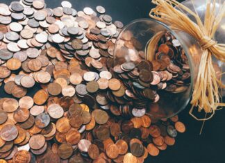 Maximize Your Pet Food Budget: Smart Cost Calculation Tips