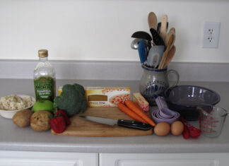 Is Homemade Pet Food Right for Your Furry Friend? Cooking