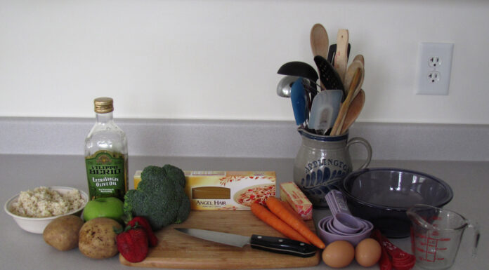 Is Homemade Pet Food Right for Your Furry Friend? Cooking