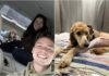Couple Uses Wedding Fund And Life Savings To Save Dog Who Got Into A Hit-And-Run Accident
