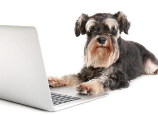 Weekly Roundup: Funny Dog Posts From Last Week (Jul 29)