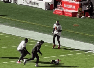 WATCH: Weiner Dog Outruns Hoomans At NFL Game