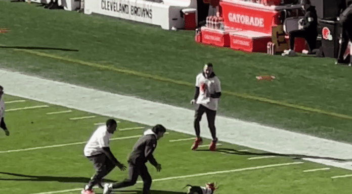 WATCH: Weiner Dog Outruns Hoomans At NFL Game