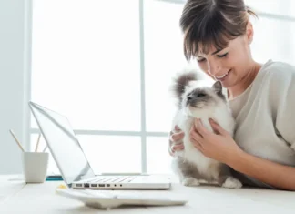 Discover Why Cats Purr: The Science Explained