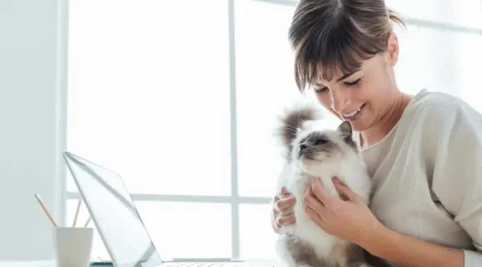 Discover Why Cats Purr: The Science Explained