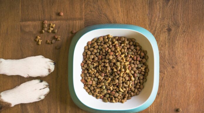 Boost Your Sodium Knowledge for Better Health Today