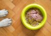Cost Comparison: Which Type of Dog Food Fits Your Budget?