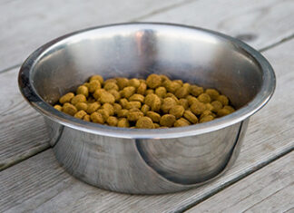 Understanding Pet Food: Symptoms of Food-Related Illness Dog food in bowl