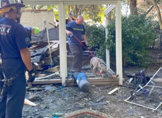 Dog Miraculously Survives Home Explosion, Gets Rescued From Rubble Six Days After