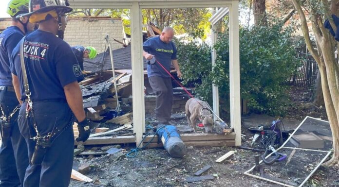 Dog Miraculously Survives Home Explosion, Gets Rescued From Rubble Six Days After