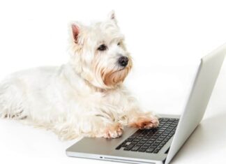 Weekly Roundup: Funny Dog Posts From Last Week (Jul 08)