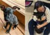 Dog Who Was Left For Dead As A Puppy Reunites With Foster Mom A Year Later