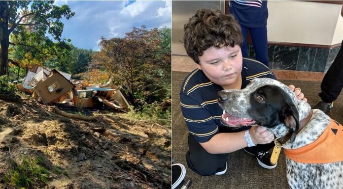 Family Dog Finds And Saves 11-Year-Old-Boy Under 12-Feet Of Rubble During Hurricane Helene