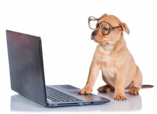 Weekly Roundup: Funny Dog Posts From Last Week (Jun 24)