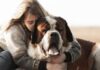 FDA Agrees On The Effectiveness Of Loyal’s Longevity Medication For Large Dogs