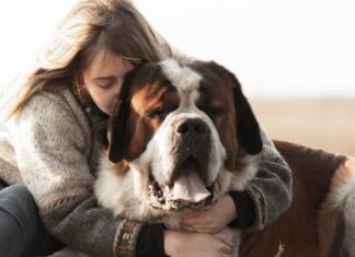 FDA Agrees On The Effectiveness Of Loyal’s Longevity Medication For Large Dogs