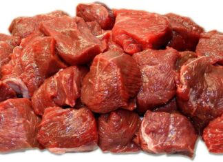 Raw Pet Diets: Hidden Human Health Risks Every Owner Should Know