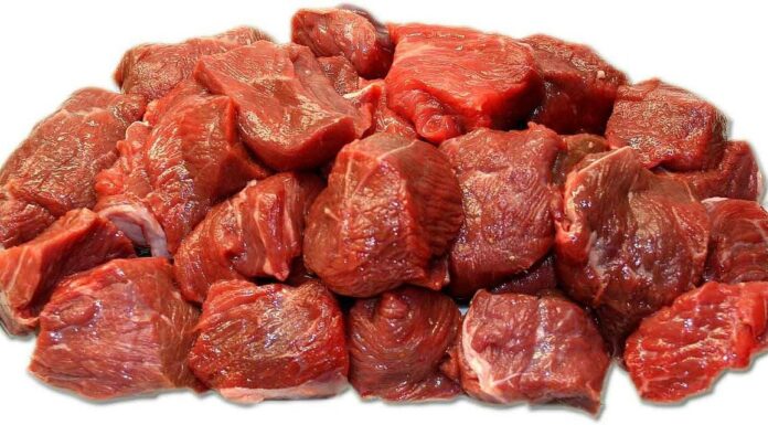 Raw Pet Diets: Hidden Human Health Risks Every Owner Should Know