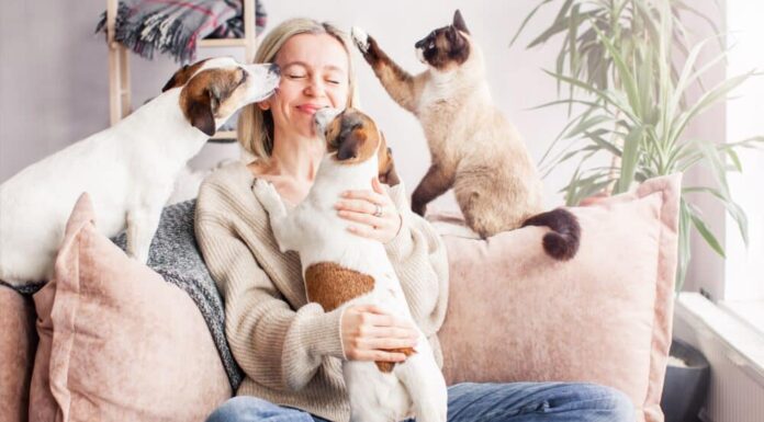 66% Of U.S. Households Own A Pet, 2024 Pet Ownership Statistics Reveals