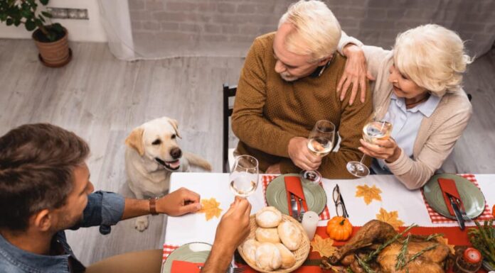 Dogs And Thanksgiving: Dog-Proofing Your Home For The Holiday